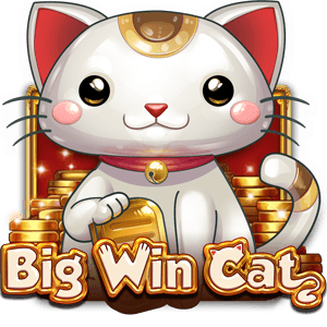 Big Win Cat